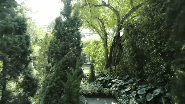 Cận cảnh dinh thự hơn 2.000m2 của Madam Pang tại Thái Lan: Sang trọng từng góc trong ngôi nhà, sân vườn và hồ bơi đều có đủ-5