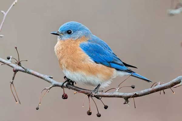 Tự chủ tự cường: Ai sinh ngày Âm lịch này, có cơ làm giàu, năm nay nghèo không đến-1