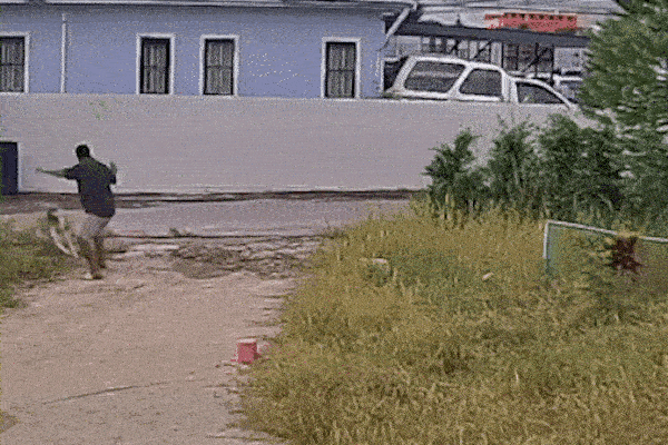 Người đàn ông bất ngờ bị chó Pitbull lao vào tấn công điên cuồng