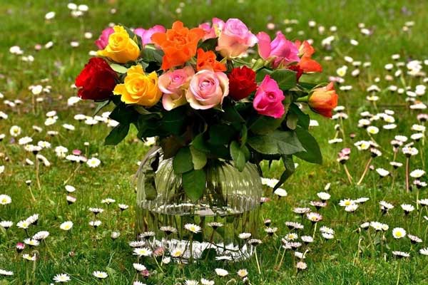 Ước mơ thành sự thật: 3 con giáp nhạy bén kinh doanh, tháng 12 đạt được ý nguyện, tiền bạc rủng rỉnh-2