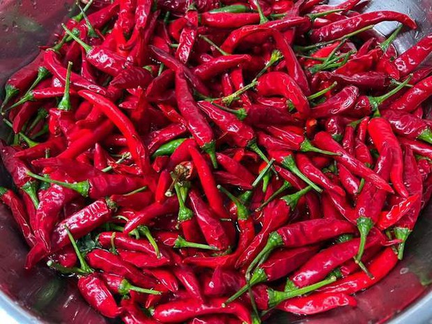 Don't put directly in the refrigerator, there is a way to keep chili fresh like freshly picked for up to half a year-1