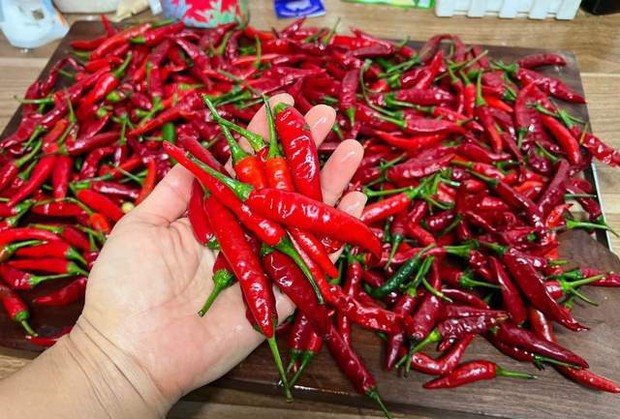 Don't put directly in the refrigerator, there is a way to keep chili fresh like freshly picked for up to half a year-3