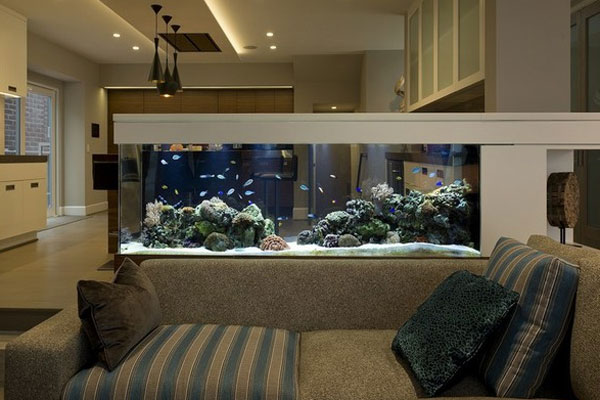 Trồng cây cảnh trong nhà không cẩn thận có thể mang lại điều xui xẻo, dễ hao tài tốn của-7