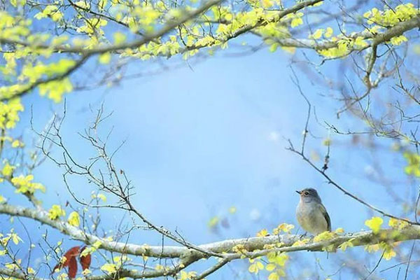 Mùa đông này, 4 con giáp thân ấm, tim nóng, may mắn vây quanh, tiền đầy túi, tình đầy tim-1