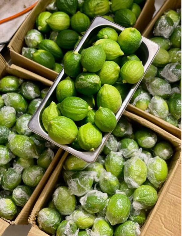 Loại chanh lạ gây sốt, giá cao gấp 4 lần hàng Việt vẫn hút khách-3