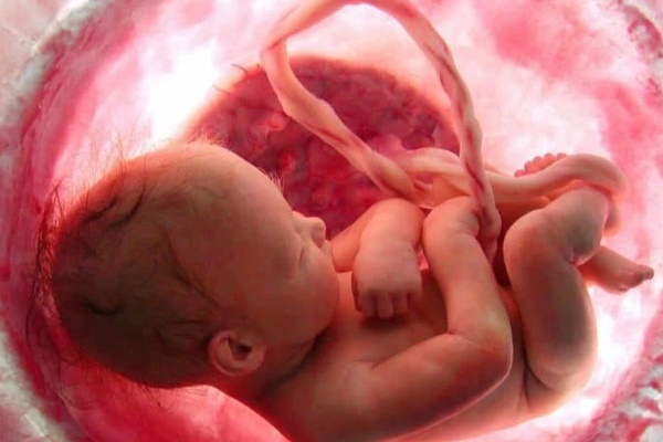 Mang thai ở tuổi 70, bà lão sinh đôi một trai, một gái-2