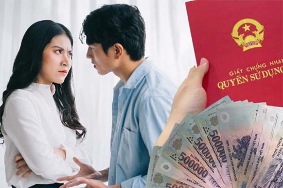 Chồng tỷ phú để con riêng đứng tên gia sản vì không muốn chia cho vợ khi ly hôn