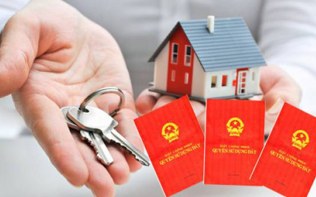 Chồng tỷ phú để con riêng đứng tên gia sản vì không muốn chia cho vợ khi ly hôn-2