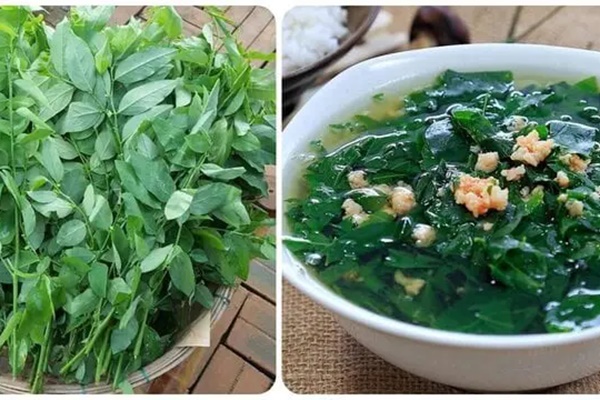 Rau ngót cực bổ dưỡng nhưng đại kỵ với 3 nhóm người này-1