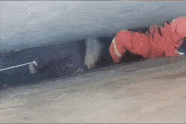 Bé trai phản ứng thông minh giải cứu bạn thoát khỏi nguy hiểm-1