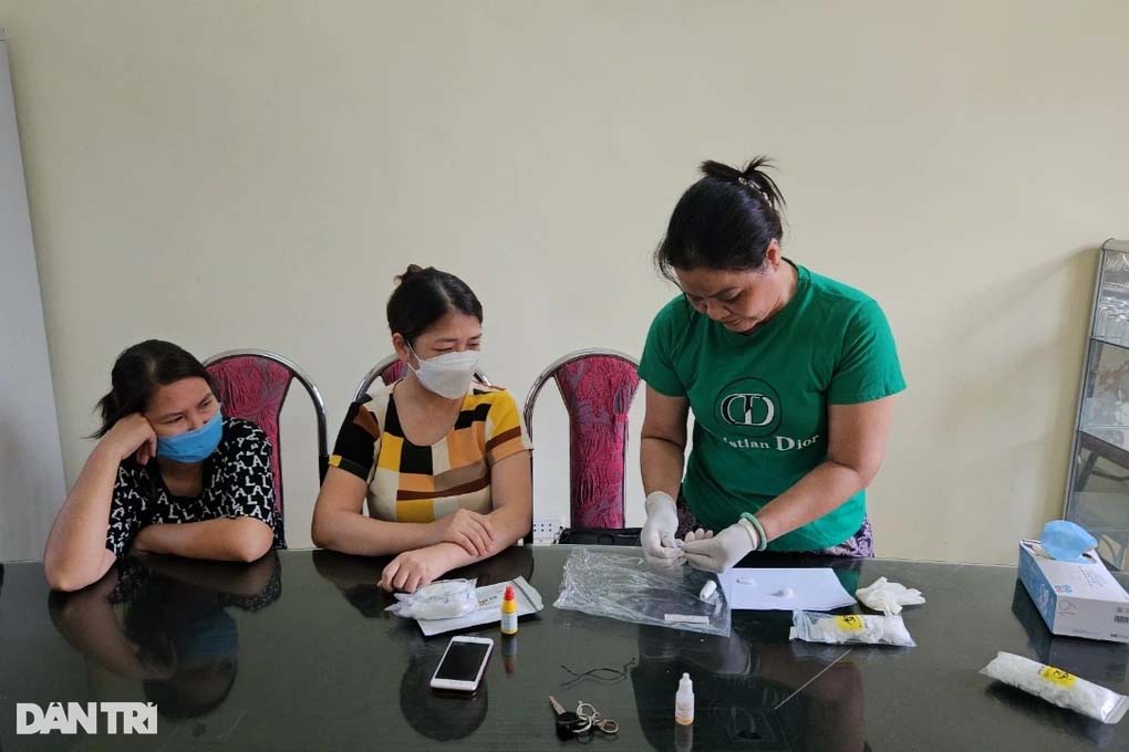 Tự ý lấy máu học sinh ở Hải Phòng: Không xử lý hình sự nhóm Bông hồng đen-1