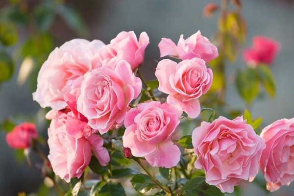 Lộc tràn vào cửa: 3 con giáp trút bỏ vận đen, tiền về đầy túi từ giữa tháng 10 Âm lịch-1