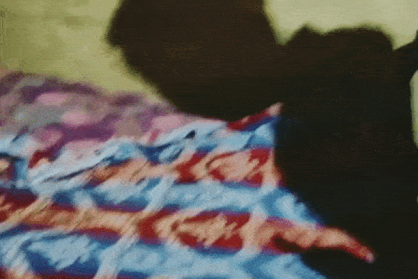 Clip: Người đàn ông phát hiện thứ cực độc ẩn nấp trong mũ bảo hiểm-1