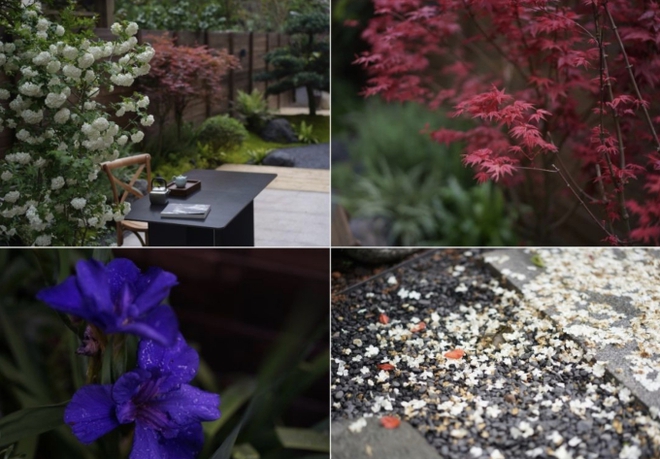 Nữ giáo sư bán đứt căn nhà ở trung tâm thành phố, chuyển về ngoại ô xây nhà vườn rộng 400m2 để thiền định-10