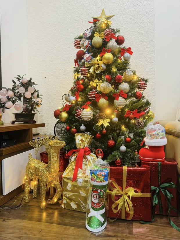 Noel ấm cúng tiết lộ tình trạng sức khỏe cô Đẩu Công Lý; Đoàn Di Băng chơi trội với style Noel hồng-2