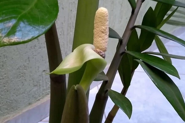 Treo tranh cho sang nhà nhưng đừng treo ở 5 vị trí này kẻo mất lộc, nhất là nơi thứ 3-5