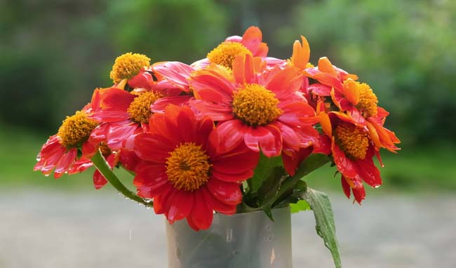 Cây khô nở hoa: 3 con giáp được Thần Tài chấm sổ vàng, tháng 12 sang tiền về như nước chảy-2