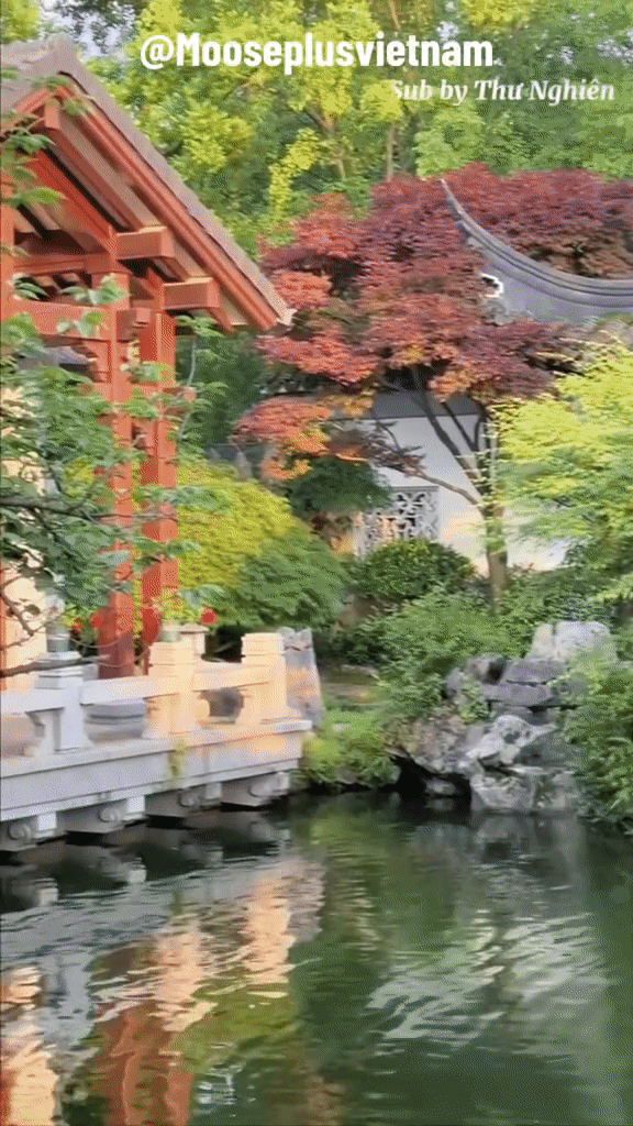 Cận cảnh không gian sống của phú bà Đào Hỷ Nhi: Tứ hợp viện thừa kế từ gia tộc, rộng đến nỗi chủ nhân không dám ở một mình-7