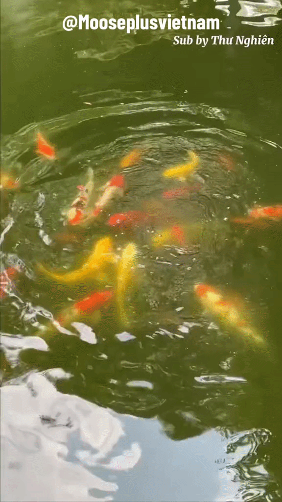 Cận cảnh không gian sống của phú bà Đào Hỷ Nhi: Tứ hợp viện thừa kế từ gia tộc, rộng đến nỗi chủ nhân không dám ở một mình-12