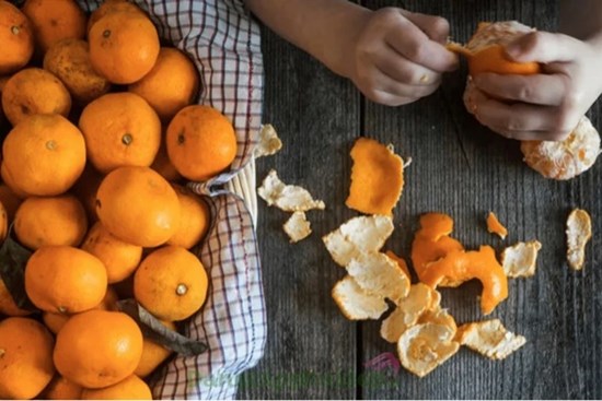 Một loại vỏ trái cây mà người Việt bỏ đi, hóa ra lại là “thần dược đại bổ” trong Đông y