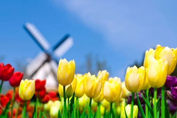 Kinh doanh nhạy bén: 3 con giáp hốt vàng, hốt bạc, cầu được ước thấy vào cuối năm 2023-2