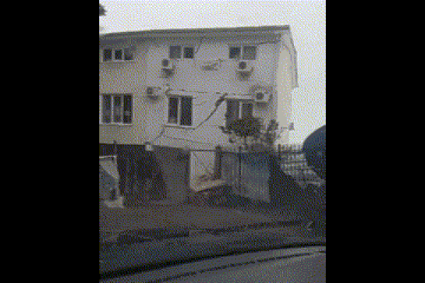 Clip: Đang chơi trên đường, bé trai bị quạ dữ tấn công liên tục-1