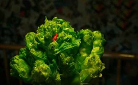 Loại rau bắt mắt, trước ít ai hay nay xuống phố ví như đặc sản lộc trời, giá hốt bạc-1