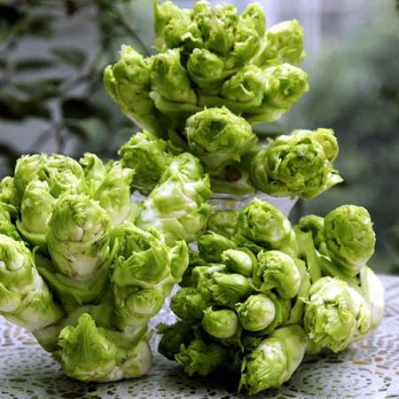 Loại rau bắt mắt, trước ít ai hay nay xuống phố ví như đặc sản lộc trời, giá hốt bạc-2