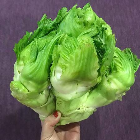 Loại rau bắt mắt, trước ít ai hay nay xuống phố ví như đặc sản lộc trời, giá hốt bạc-3