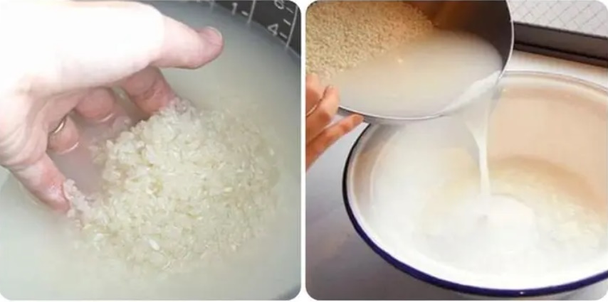 Why should rice be rinsed before cooking?-1