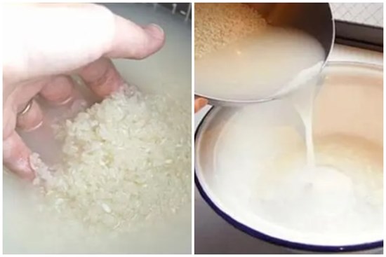 Vì sao nên vo gạo trước khi nấu cơm?