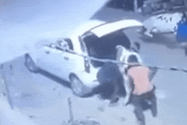Clip: Ba tên trộm cố nhét con bò vào cốp ô tô rồi tẩu thoát