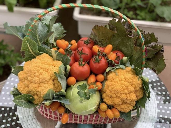 Mẹ đảm Hà Nội mát tay xây vườn trên sân thượng, có vụ thu hoạch cả trăm cân dưa lưới-12