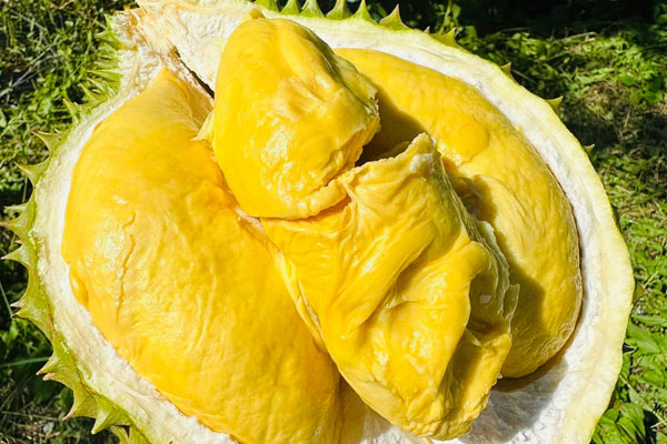 Trung Quốc chi 2 tỷ USD mua gom về ăn, sầu riêng ở chợ Việt giá quá đắt-1
