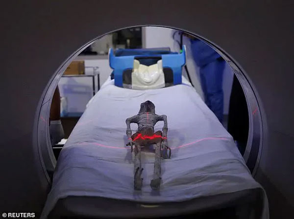 Tiết lộ gây sốc về xác nghi của người ngoài hành tinh ở Mexico: Chắc chắn không phải con người?-3