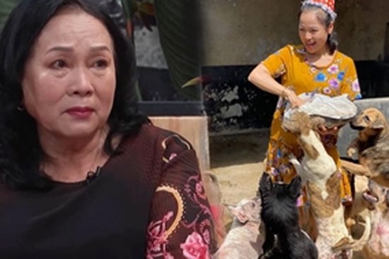 Con dâu không sinh cháu vì bận chăm chó mèo, mẹ chồng phản ứng bất ngờ
