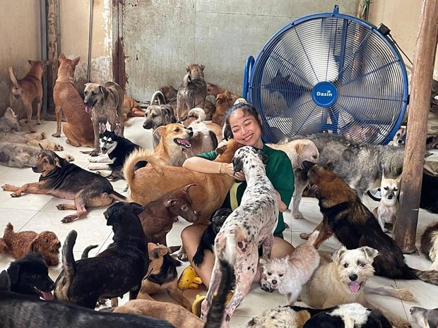 Con dâu không sinh cháu vì bận chăm chó mèo, mẹ chồng phản ứng bất ngờ-1