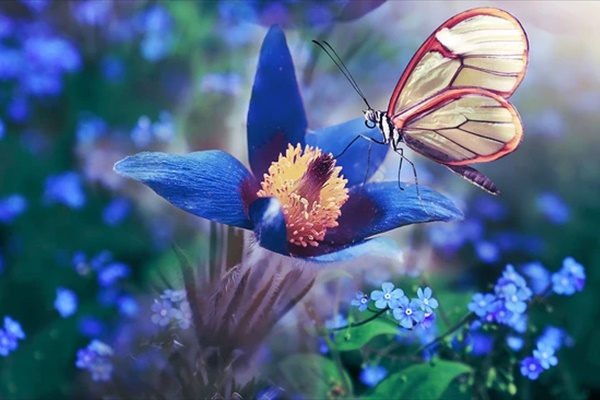 4 con giáp được Thần Tài chiếu cố, tháng 12/2023 phát tài phát lộc, tiền về ngập két-3