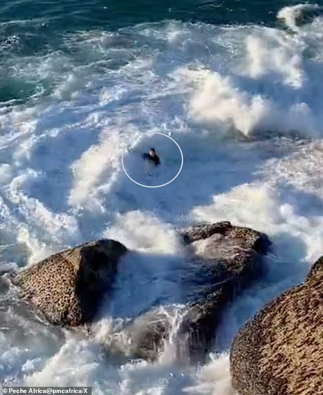 Nhảy xuống vùng biển yên lặng, thanh niên ngờ đâu rơi vào vòng xoáy tử thần suýt chết đuối, video 2 phút gây thót tim cho triệu người-1