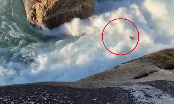 Nhảy xuống vùng biển yên lặng, thanh niên ngờ đâu rơi vào vòng xoáy tử thần suýt chết đuối, video 2 phút gây thót tim cho triệu người-2