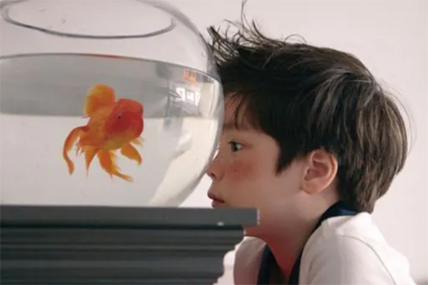 Nuôi dạy 6 đứa con đều hiếu thảo với cha mẹ, cụ bà 85 tuổi bật mí bí quyết: Chỉ gói gọn trong 2 chữ này-2