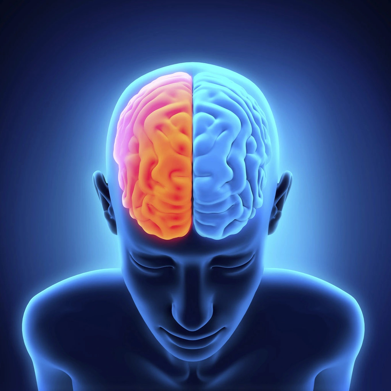 Não đàn ông và phụ nữ có gì khác nhau?-2