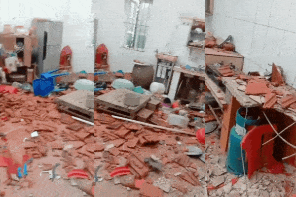 Khỉ tấn công nhiều người, cắn chết 4 con chó ở Quảng Nam-3