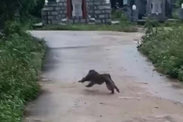 Hà Nội: Tài xế xe Mercedes mất lái lao vào nhà dân trên phố cổ lúc rạng sáng-2