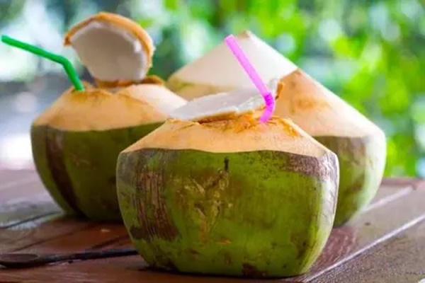 Sự thật chuyện uống nước dừa giúp lọc sạch phổi và 3 điều quan trọng cần biết khi uống kẻo hại thân-3
