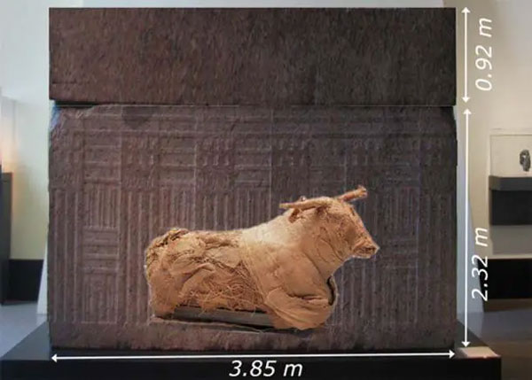 Bí ẩn về quan tài khổng lồ của đền Saqqara Serapeum ở Ai Cập-2