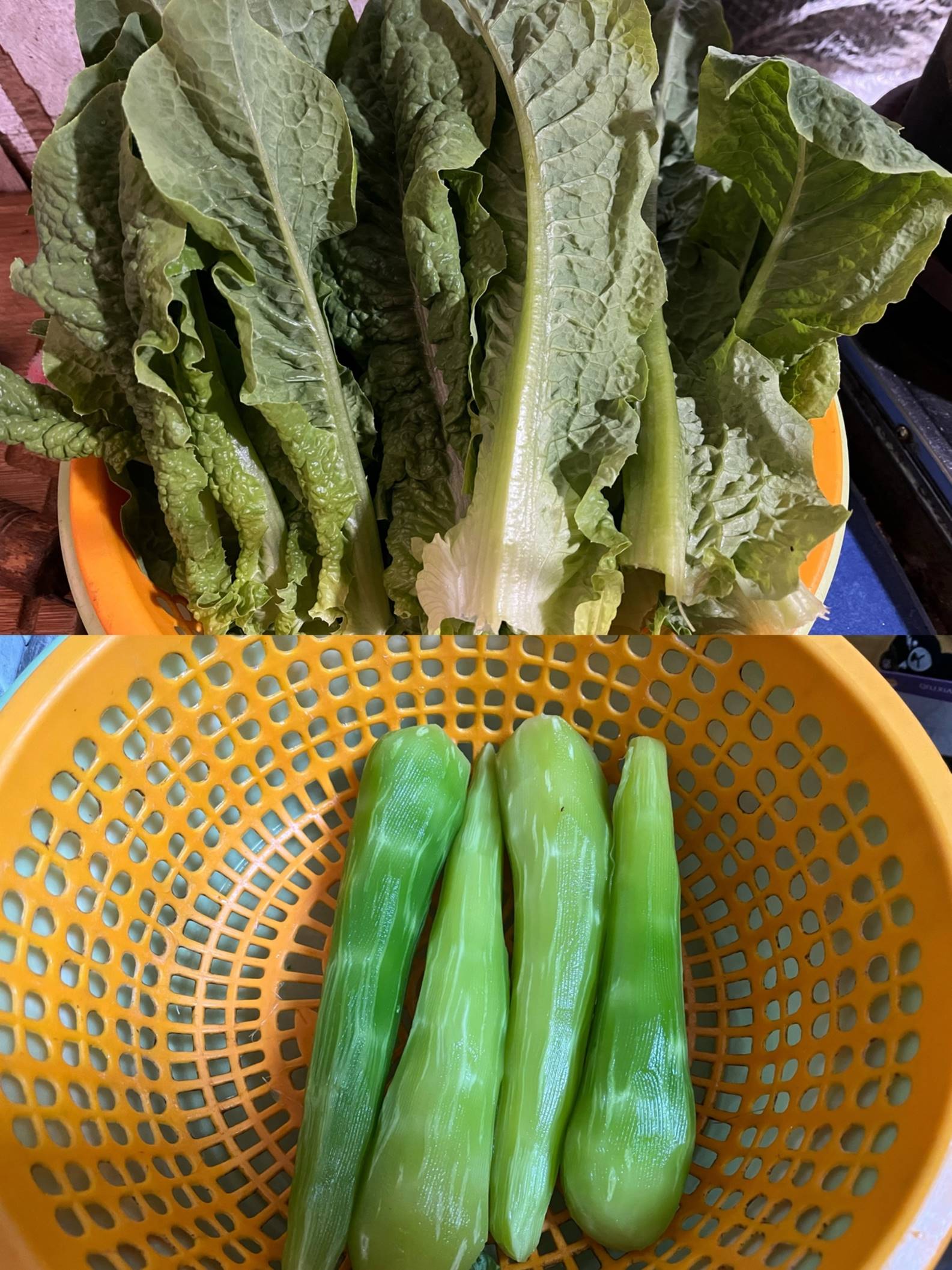 3 loại rau mà lá gan rất thích, mùa đông đem làm món rau ăn thường xuyên giúp dưỡng gan khỏe mạnh-10