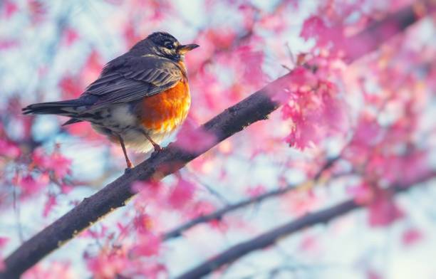 Họa - phúc có đôi: 5 con giáp nhận được cả cơ hội và thách thức trong năm 2024, biến nguy thành an-4