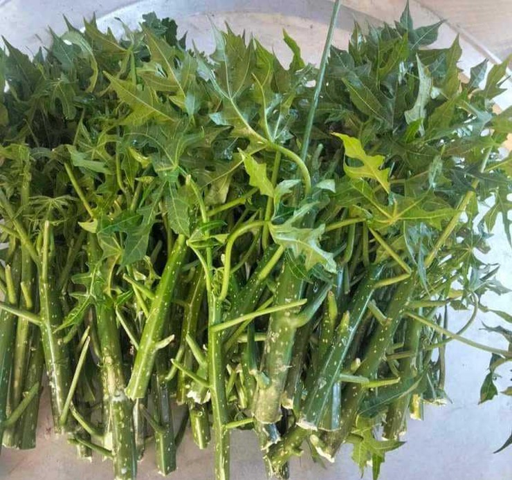 Loại rau có tên lạ bỗng lên cơn sốt, dân buôn ngày bán cả trăm cành giống-2