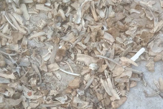 Những thứ tưởng là đồ bỏ đi, ai ngờ đều là “mỏ vàng” ít ai biết